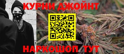 гидра Можайск