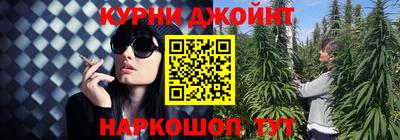 гидра Можайск